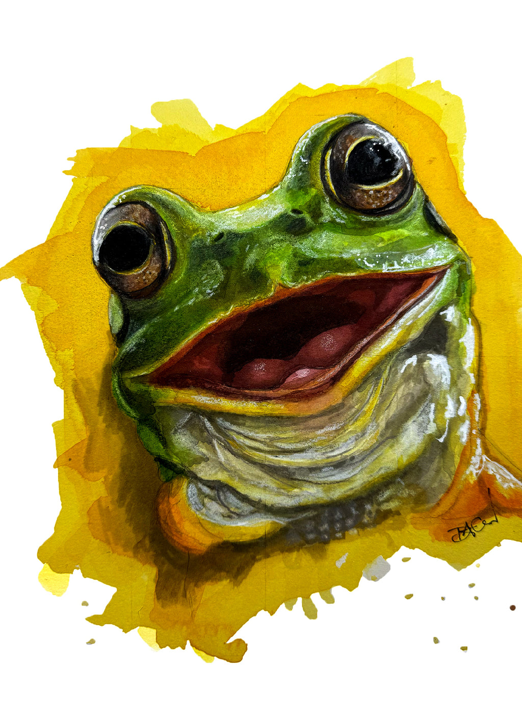 "Happy Frog" Fine Art Print